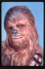 Star Wars Peter Mayhew as Chewbacca vivid color Vintage Dupe 35mm Transparency