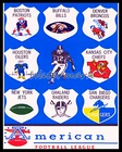 1963 AFL Team Logo's Picture Color Pic 8 X 10  Photo Picture