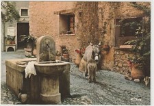 CPM - 06 - SAINT-PAUL (Alp.-Mar.) - La fontaine ( Ane)