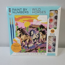 iHeartArt Paint By Numbers Wild Horses 8x10 Canvas Kit 9205 Bright Stripes New