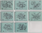 GB Stitched Booklets 25p Veteran Transport  & 30p British Birds SGDH39 / DQ74