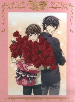 Paper product [single item] Takano & Onodera B5 art board ''Blu-ray/DVD Sekai
