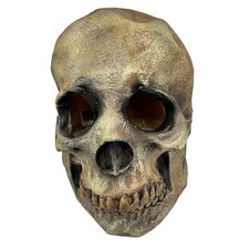 Halloween Skull Mask Tan Brown Spooky Realistic Costume Accessory Horror Prop
