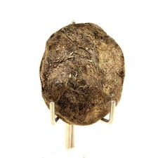 Biotita. 68,47 Ct. Montaña Freita, Arouca, Aveiro, Portugal.
