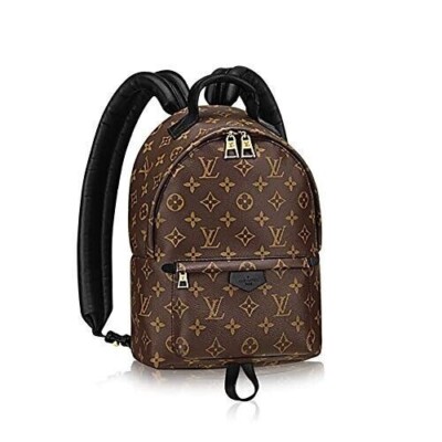 NEW 2016 Vintage Louis Vuitton Monogram Canvas "PM" Palm Springs Backpack-M41560 | eBay NEW 2016 Vintage Louis Vuitton Monogram Canvas "PM" Palm Springs Backpack-M41560 | eBay