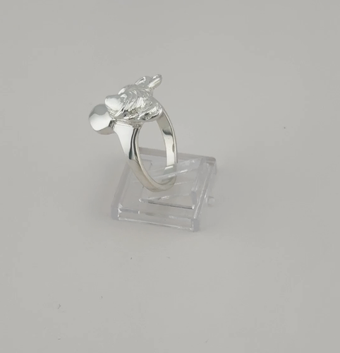 Sterling Silver Chinese Crested Head Study Ring - 第 1 支影片，共 1 支