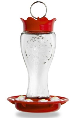 Pennington Glass Hummingbird Feeder, 16 Oz Nectar Capacity