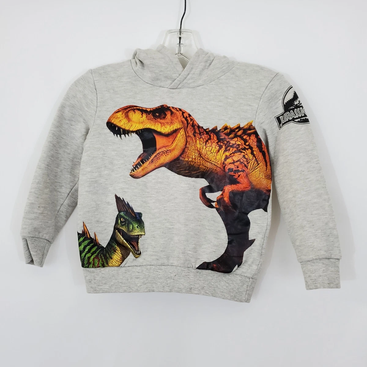 H&M Gray Jurassic World Dinosaur Pullover Hoodie Youth Boy 4-6 Years Long  Sleeve | eBay