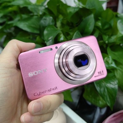 Sony Cyber-shot DSC-W630 Pink 16.1 MP 5x Optical Zoom Compact