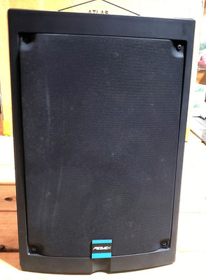 Peavey 652S Speaker #2