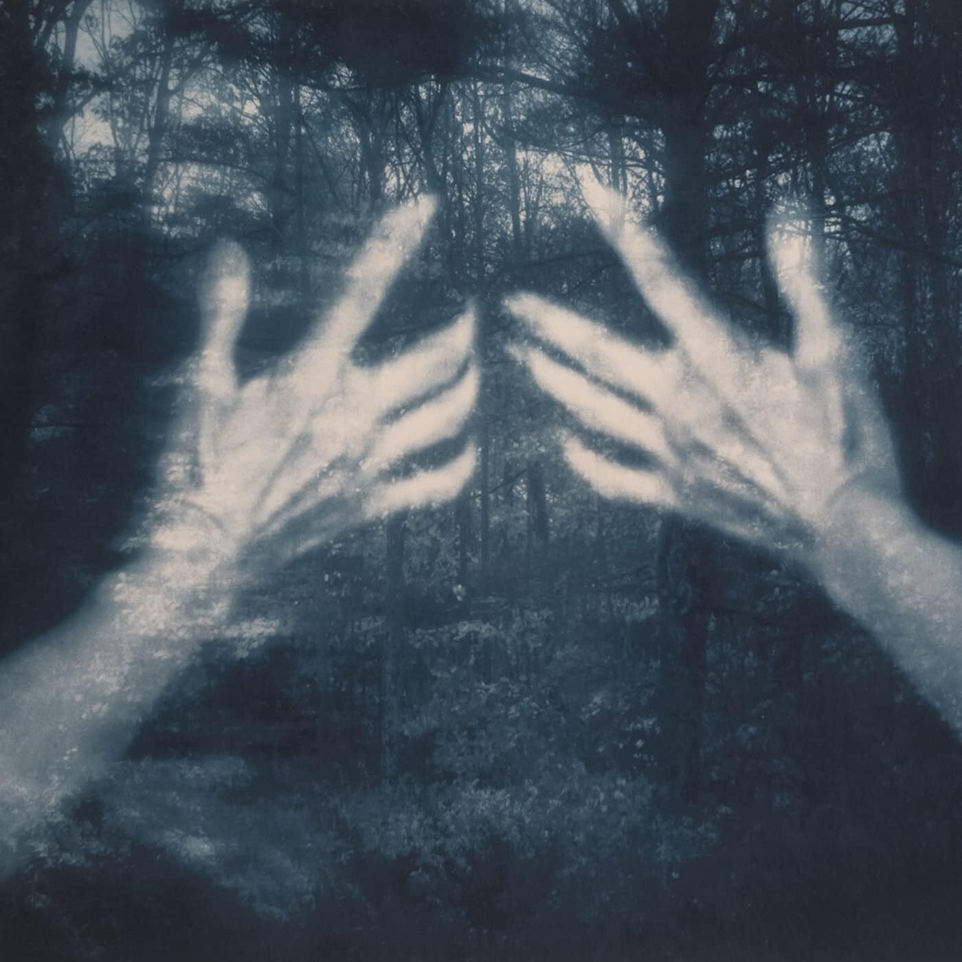 Сантос Сильва Сусана Все птицы и телефонный звонок (винил) (ИМПОРТ ИЗ Великобритании)