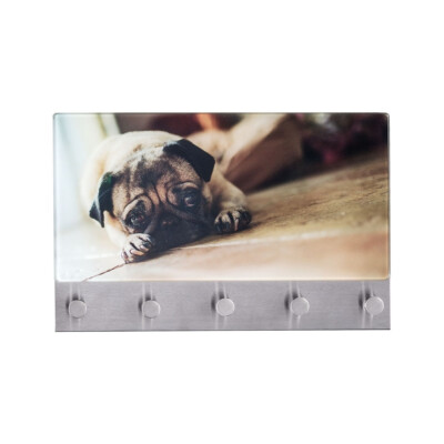 WENKO Schlüsselbrett Garderobe 5 Haken Memoboard Incl. Magnete