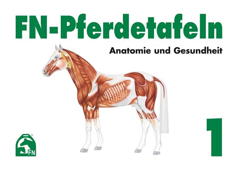 Thumbnail - Fn-pferdetafeln. Mappe 1. Anatomie Und Gesundheit