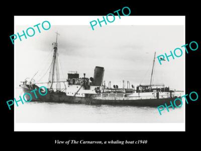 OLD LARGE HISTORIC PHOTO OF THE AUSTRALIAN WHALING BOAT THE CANARVON c1940