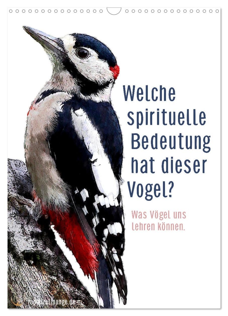 Welche spirituelle Bedeutung hat dieser Vogel? (Wandkalender 2026 DIN A3 hoch),