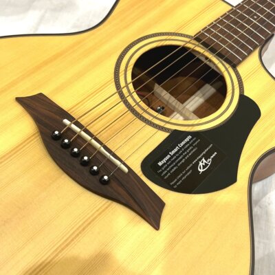 MAYSON Atlas E エレアコ Electric Acoustic Guitar Mayson Atlas E Smart Concept