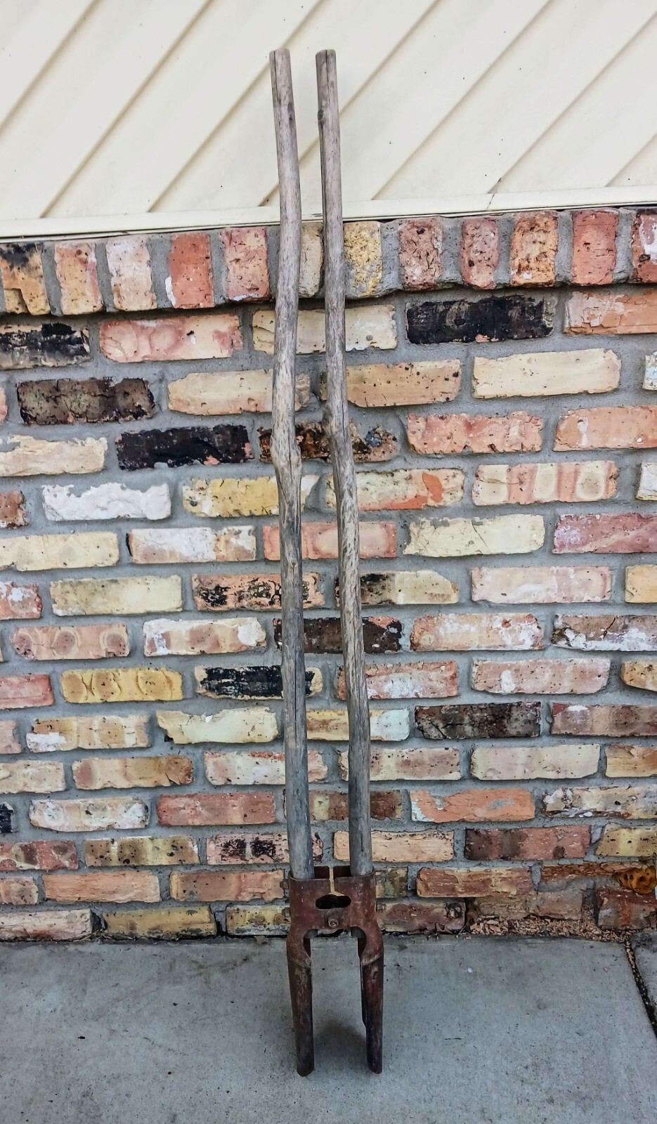 Unusual Antique Post Hole Digger with Branches For Handles. Nice Patina