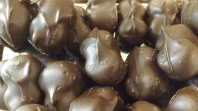 Dark Chocolate Orange Cream Candy (2) 1 LB Gift Boxes Free Shipping