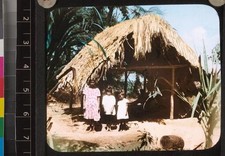 An Arawak Indian dwelling Guyana ca 1934 Old Photo