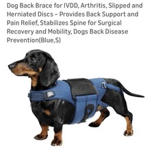 Haggemi Dog Back Brace Support-XL