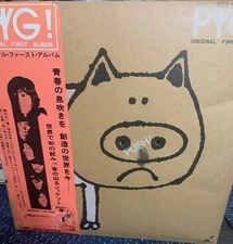 PYG "ORIGINAL FIRST ALBUM" RARE VINYL ON JAPANESE POLYDOR W OBI