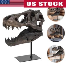 T Rex Skull, Dinosaur Statue Resin Replica Head Sculptures, Home Office Decor