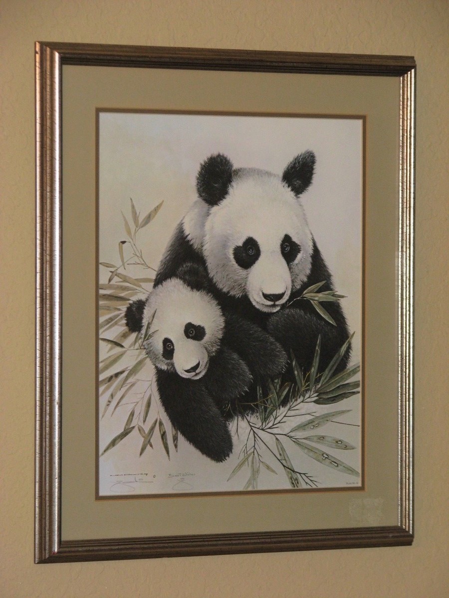 Jim Oliver Giant Pandas Signed Print | eBay