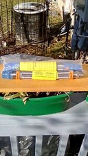 Set of 2 Hose Master Flexible Stainless Steel Hose MB 304 3/4" X 12"