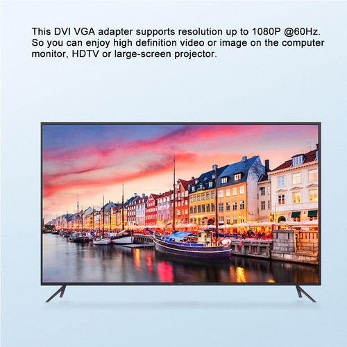 E0401 DVI‑I 24+1 Stecker Auf VGA Buchse Dual Channel Mit Chip Adapter GPU Zu BHC - Photo 13/14