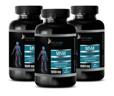 Msm 1000 - MSM 1000mg - Pain Relief - Bones  Joints Support - 3 Bottles