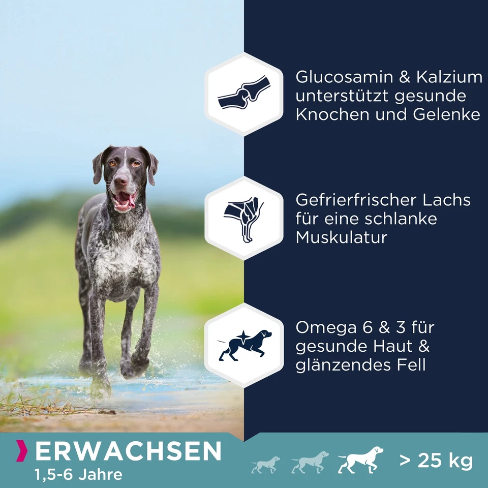 Hundefutter getreidefrei mit Fisch für große Rassen - Trockenfutter für ausge... - Bild 3 von 4