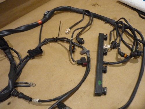 Ferrari 360 - LH Side Engine Injection Cables - P/N 181115 - Picture 6 of 7