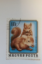 60f Hungry Fauna Mayar Posta Young Wild Animals Squirrels Stamp 1974