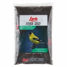 Nyjer Bird Food Seed, 3 Lbs. - 2647426