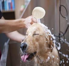Pet Shower Attachment High Pressure Handheld Sprayer with ON/OFF Switch 6ft Hose