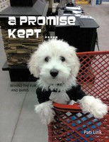 Pati Link | A Promise Kept ..... | Taschenbuch | Englisch (2011) | Authorhouse