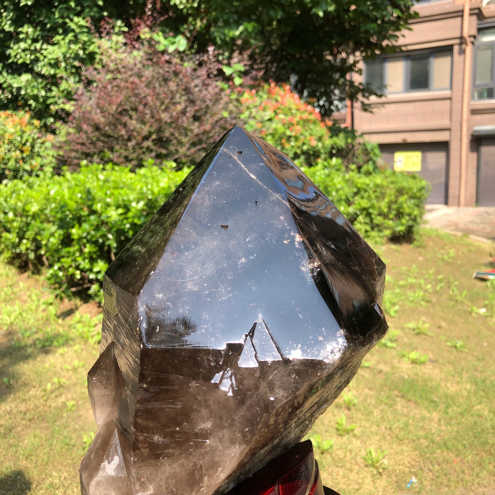 18.61LB Natural Black Crystal Specimen Quartz Crystal Specimen Healing 2373