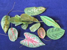 Vtg Millinery Flower Collection Tropical Leaf FoliageGreen Fabric 3 1/2-9" Y308A