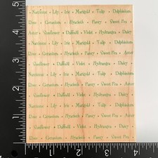 Hero Arts Daisy Daffodil Violet Tulip Flower Names Background S1234 Rubber Stamp