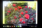 Bild 11 von 23