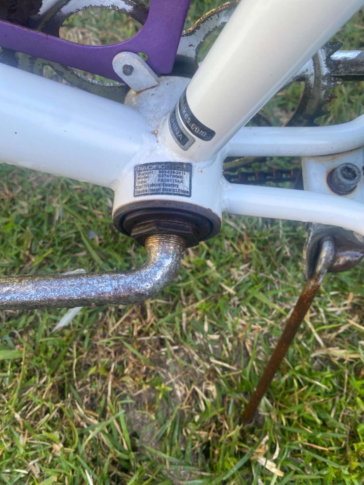 schwinn delmar vintage