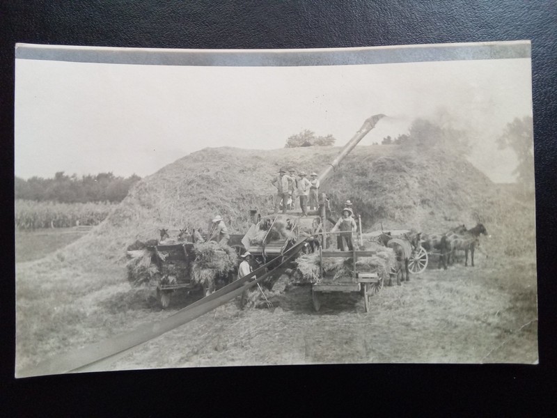 Vintage RPPC HAY WAGON and HORSES  Haystack FARM WORKING Photo Postcard