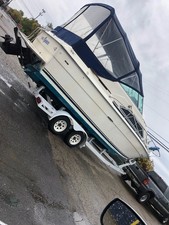 1981 Sea Ray 260 Sundancer - SRV 260