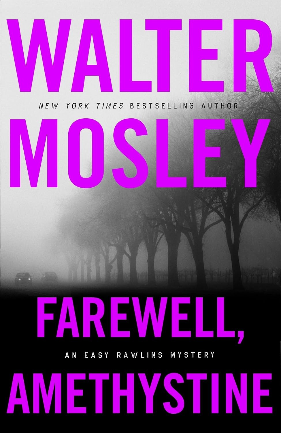 Farewell, Amethystine (Easy Rawlins mysteries)