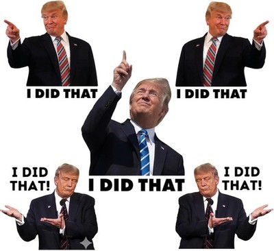 100PCS Trump I Did That Stickers Funny Decals Mixed 5 Designs 3'' Large USA