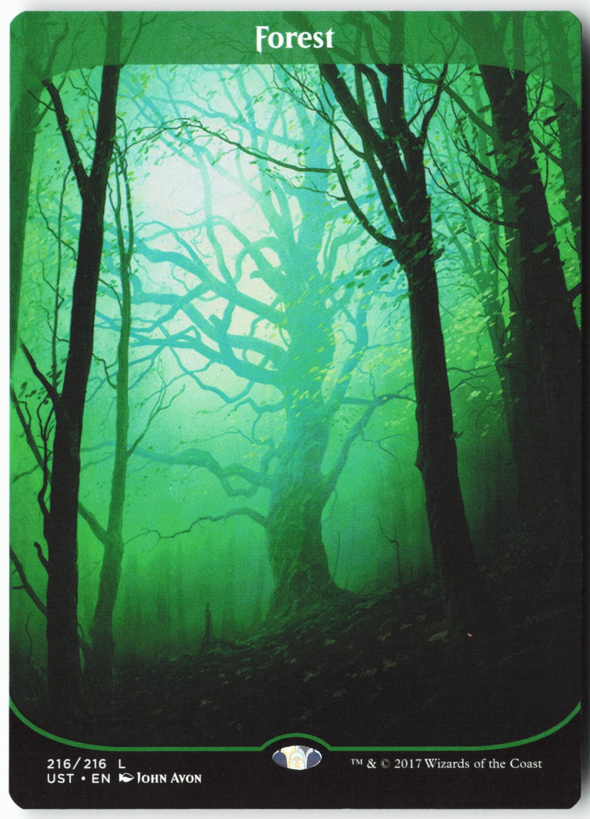 Forest Normal C Unstable 216 NM