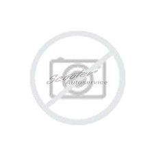 Delmax Ganzjahresreifen 215/60 R16 99V X-Weather 2 4S 3PMSF XL | 281453