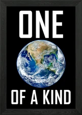 Planet Earth ONE OF A KIND Framed Wall Art Poster Canvas Print Picture