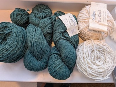 Cascade Cloud Eco Cloud Yarn Emerald Green 2101 White