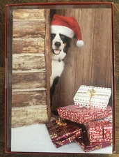 10 CHRISTMAS Leanin Tree Cards Box Set,CUTE DOG SANTA HAT PEAKING OUT CABIN DOOR